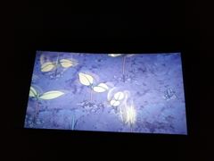 -AMG海上明珠影城(上海环球港RealDCinema店)
