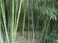 -竹泉村旅游度假区
