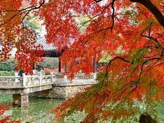 -虞山风景区