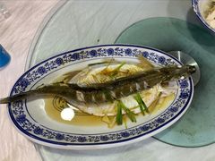 清蒸白水鱼-洞天食府(北大街店)