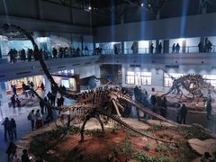 -自贡恐龙博物馆
