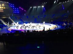 -珠海横琴长隆《卡卡虎奇遇记》