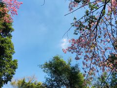 -火炉山森林公园