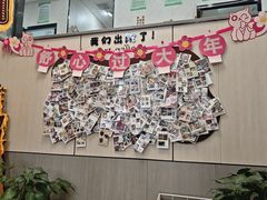-半岛宠物医院24小时(西派城店)
