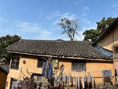 -杨家堂村