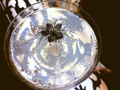 -Shift cocktail bar鸡尾酒吧