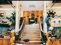 -more than meow吴止猫主题餐厅(承德 中船汇店)