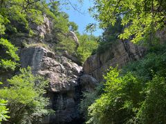 -鲁山国家森林公园