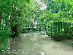 -桤木河湿地公园