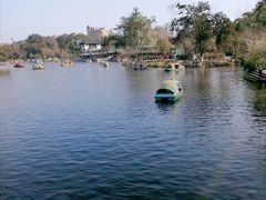 -桂湖森林公园