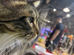 -BD健身(市北CBD店)