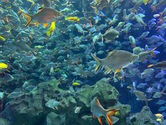 -成都浩海立方海洋公园