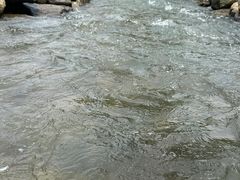 -天目湖松岭竹海漂流