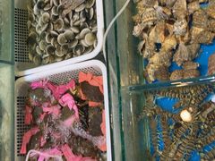 -福建美食城(老君堂店)