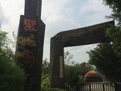 -聚龙小镇