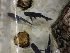 -耕渔小院·湖南鱼鲜(望城店)