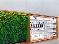 -Apple零售店(苏州店)