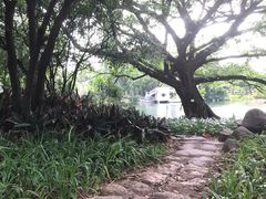 -晓港公园
