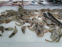 -沃尔玛超市(北大街店)