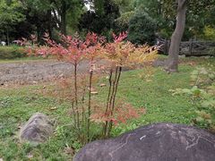 -上海鲜花港