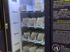 -升恒昌免税商店(桃园国际机场店)