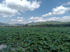 -古田会议纪念馆