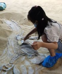 -恐龙探索乐园(磁器口店)