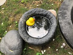 -扫雪煮茶(西村店)