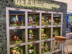 -芸山季·云南山珍菌火锅(南翔印象城MEGA店)