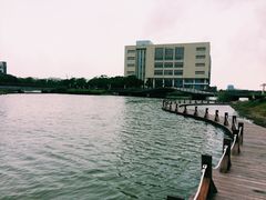 -海事大学图书馆(临港校区)