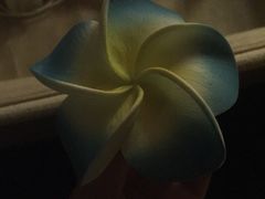 -SABAI THAI SPA泰式按摩体验馆(北城天街店)