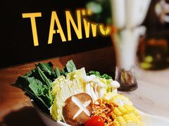 -探窝·竹笙椰子鸡(杨箕店)