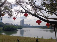 -万绿园