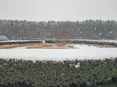 -秦始皇帝陵博物院-丽山园