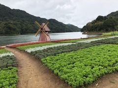 -广州市石门国家森林公园