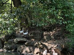 -兰亭风景区