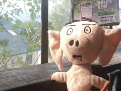 -马灯部落·西湖边的创意山景餐厅(虎跑动物园店)