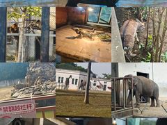 -合肥野生动物园