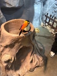 -Zoolung Zoolung动物主题公园(海信广场店)