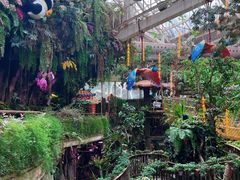 -正佳雨林生态植物园