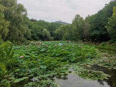 -棒棰岛宾馆景区