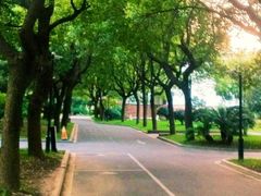 花园林荫-同里湖度假村(二期店)