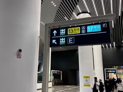 -望京西(地铁站)