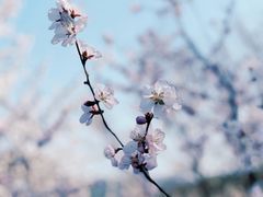 -居庸关长城