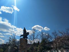-北京鹫峰国家森林公园