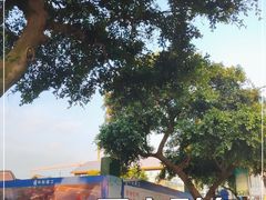 -国立剧专史料江安陈列馆