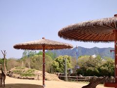 -杭州野生动物世界