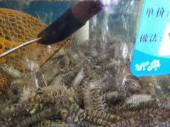 -渔民船说·北塘海鲜·天津菜·海肠捞饭(北塘古镇店)