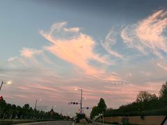 -雾与山茶(大禹城店)