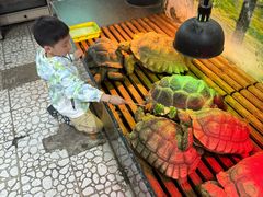 -上海大自然野生昆虫馆(东方明珠·爬宠昆虫探索中心)